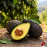 Aguacate Hass