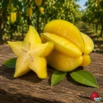 Carambola