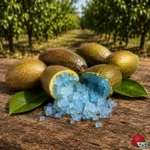 Caviar Citrico Azul