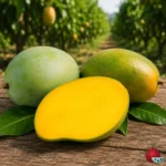 Mango Keitt