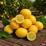 Limequat