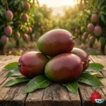 Mango Palmer