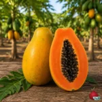 Papaya Sweet Sense