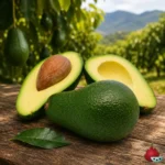 Aguacate Fuerte
