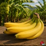 Platanera Canaria