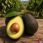 Aguacate Hass Clonal Duke 7
