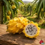 Pitaya Amarilla