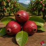 Guayaba Cattley
