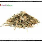 Lemon Grass