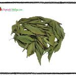 Stevia