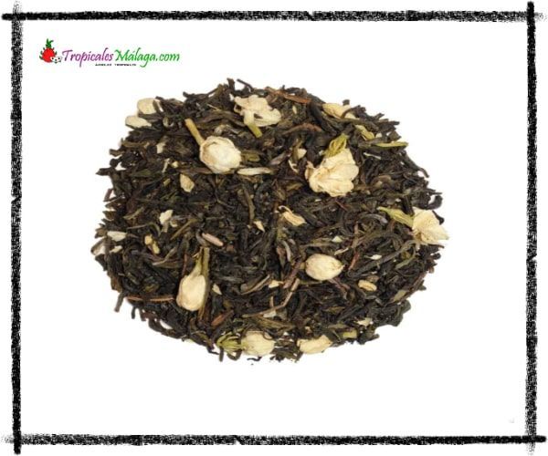 Té Verde Jazmín
