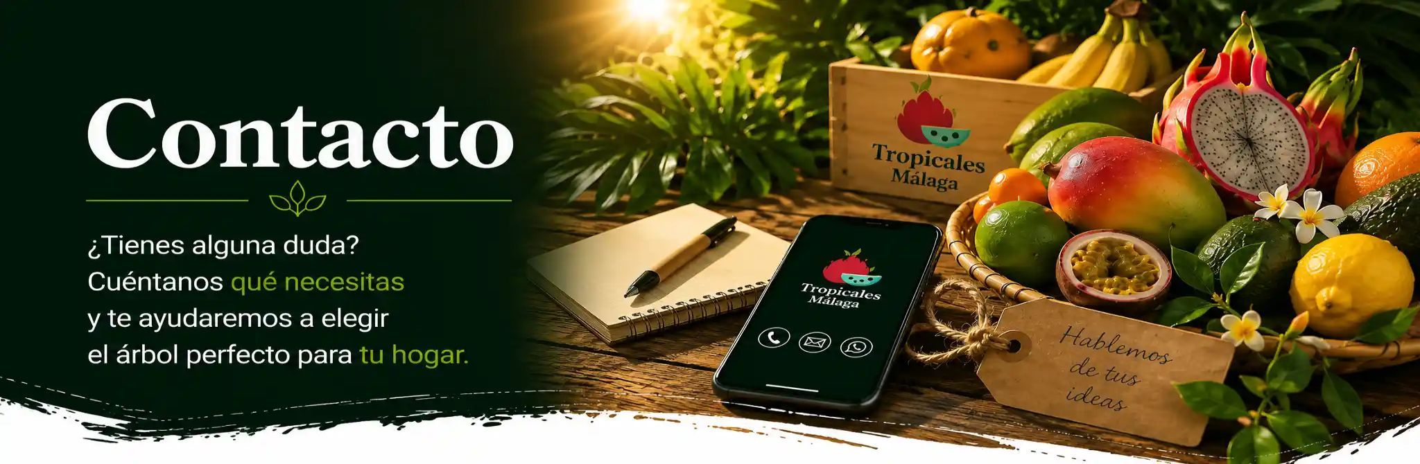 Categoria Contacto