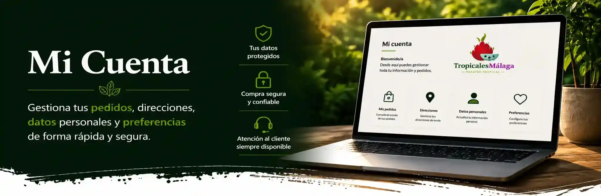 Categoria Mi Cuenta