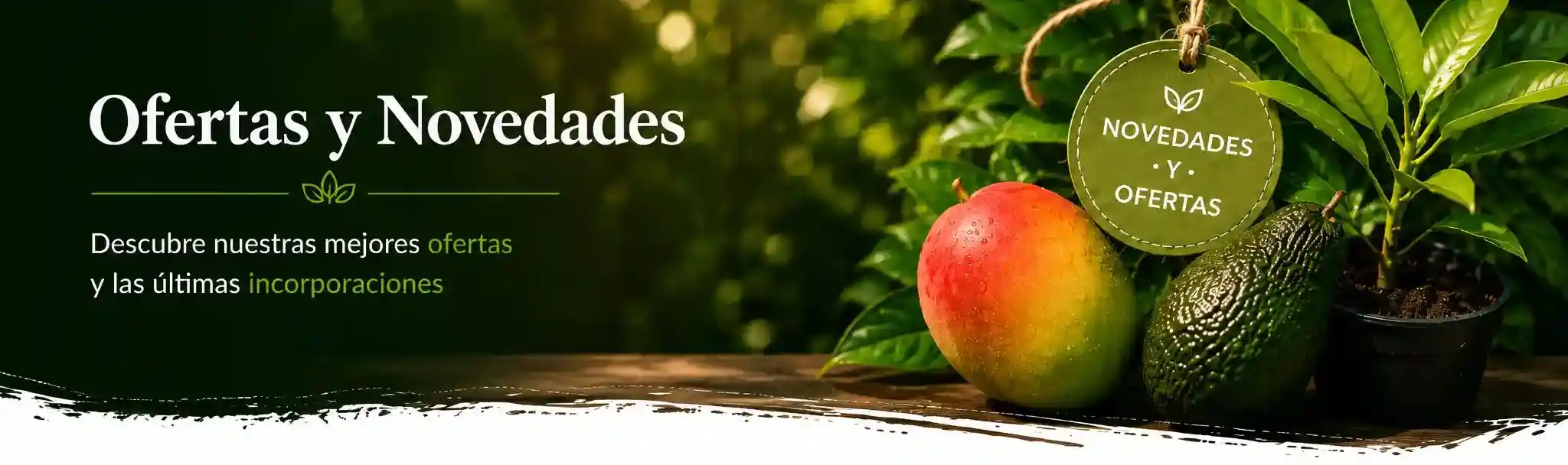 Categoria Ofertas y Novedades