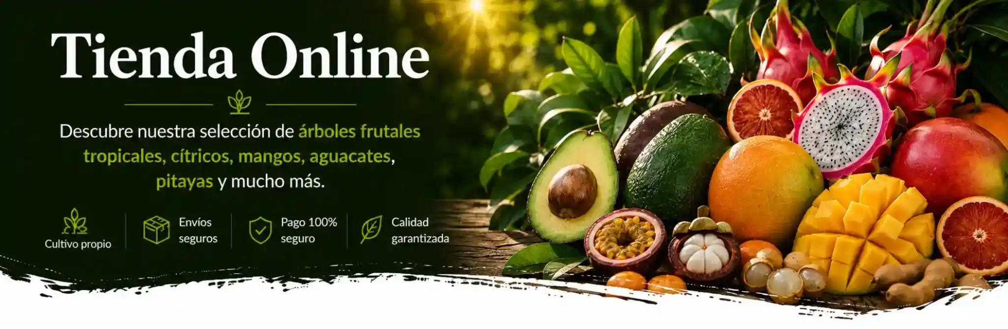Categoria Tienda On Line